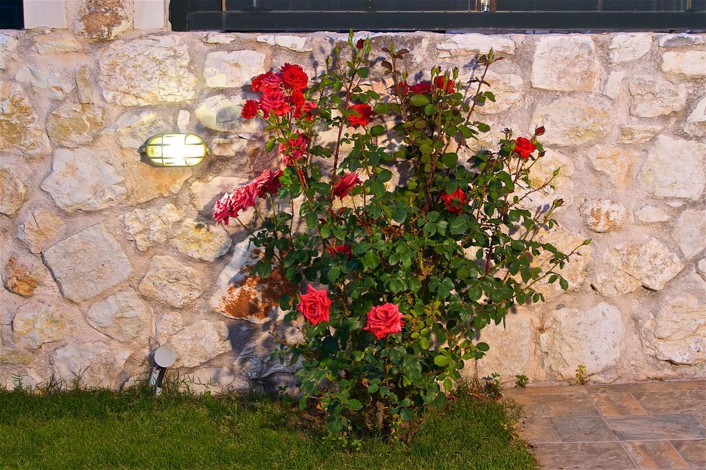 Superb Villa With Private Pool Peaceful Location Sami (Kefalonia) Exterior foto
